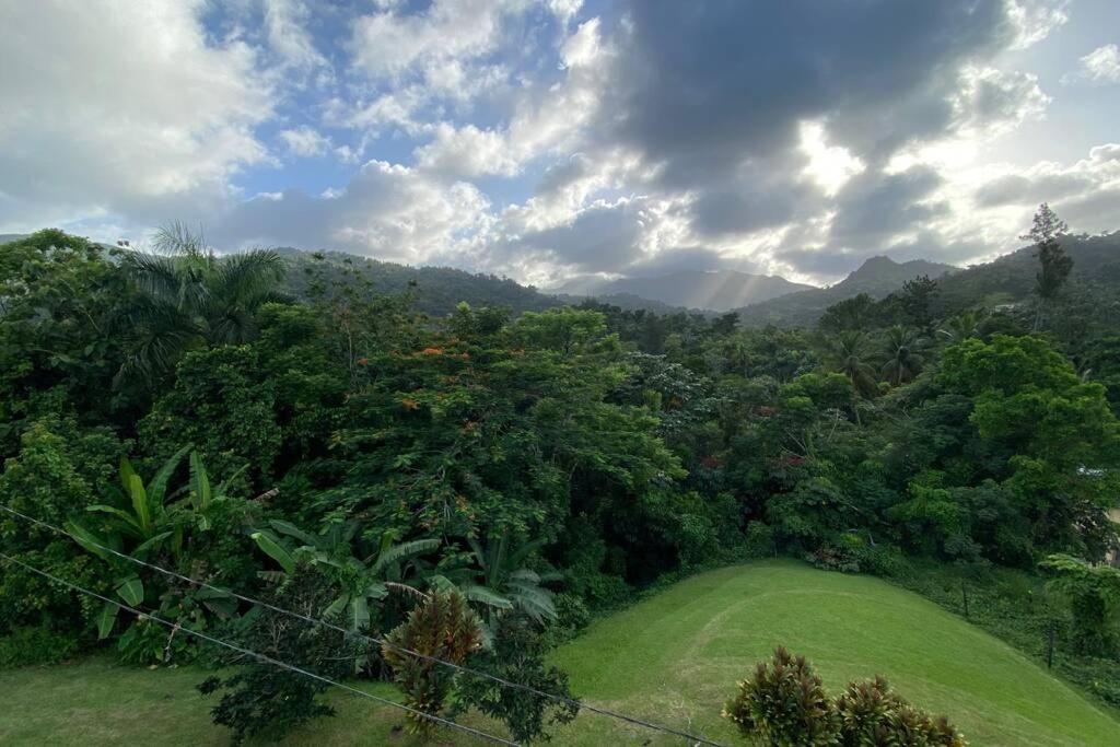 Rainforest Retreat 15 Min From The Beach Luquillo Kültér fotó