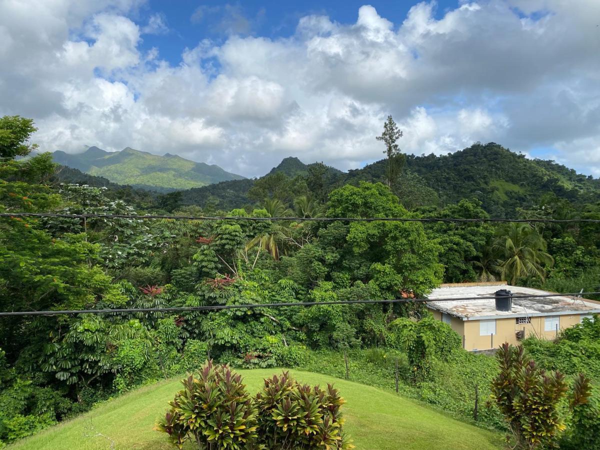 Rainforest Retreat 15 Min From The Beach Luquillo Kültér fotó