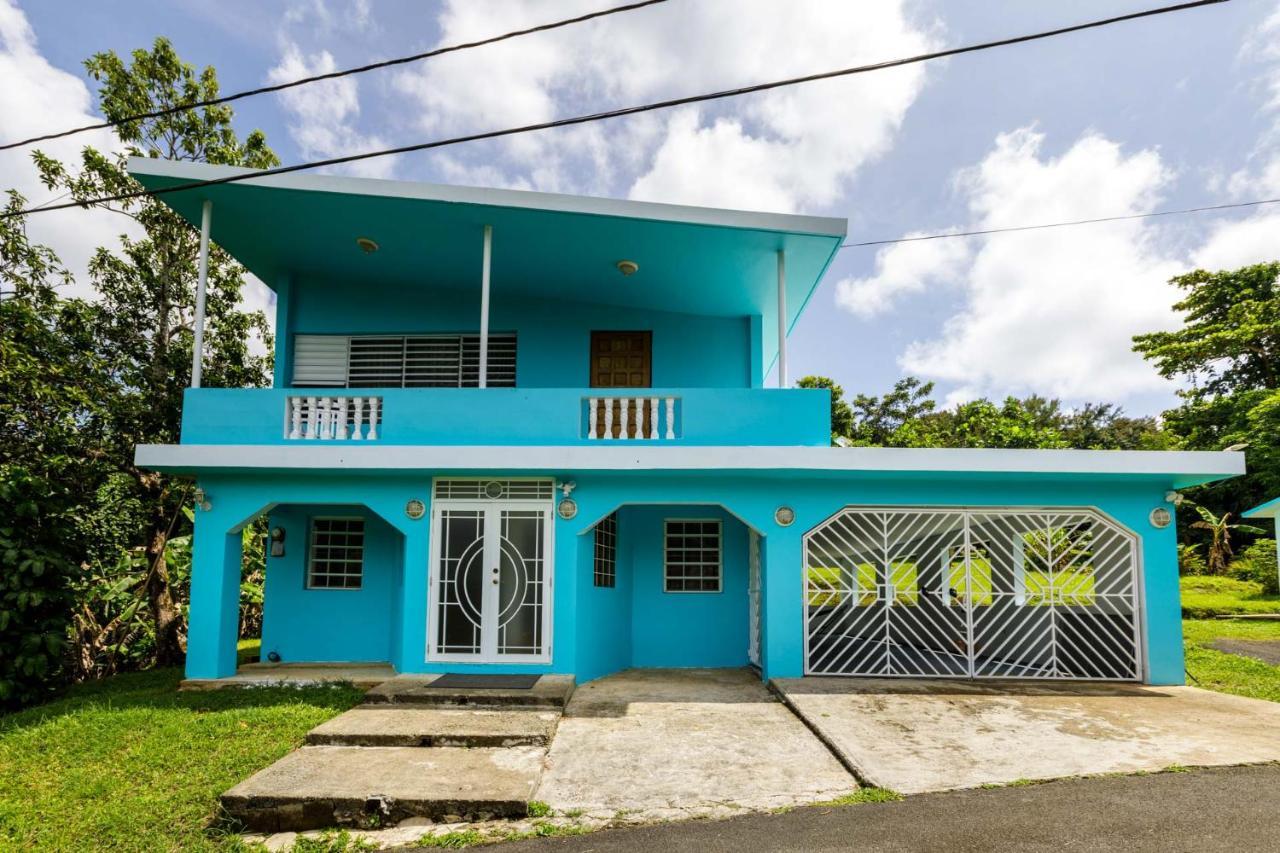 Rainforest Retreat 15 Min From The Beach Luquillo Kültér fotó