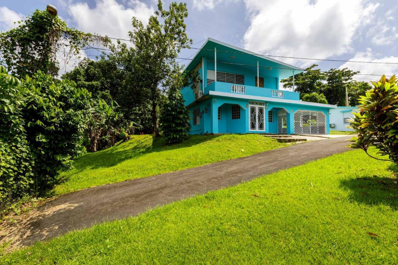 Rainforest Retreat 15 Min From The Beach Luquillo Kültér fotó